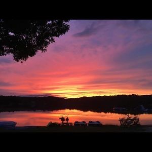 Meet your Posher, Lulu